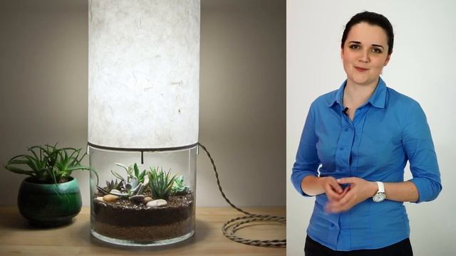 Декор живыми растениями Советы по декору вашего дома живыми растениями Идеи для декора растениями смотреть онлайн