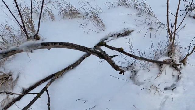 ОТДАЙ СВОЮ ПЕЧАТЬ//ГРЯЗНЫЙ квартал /9. Богополь Первомайск Николаевская область Украина смотреть онлайн