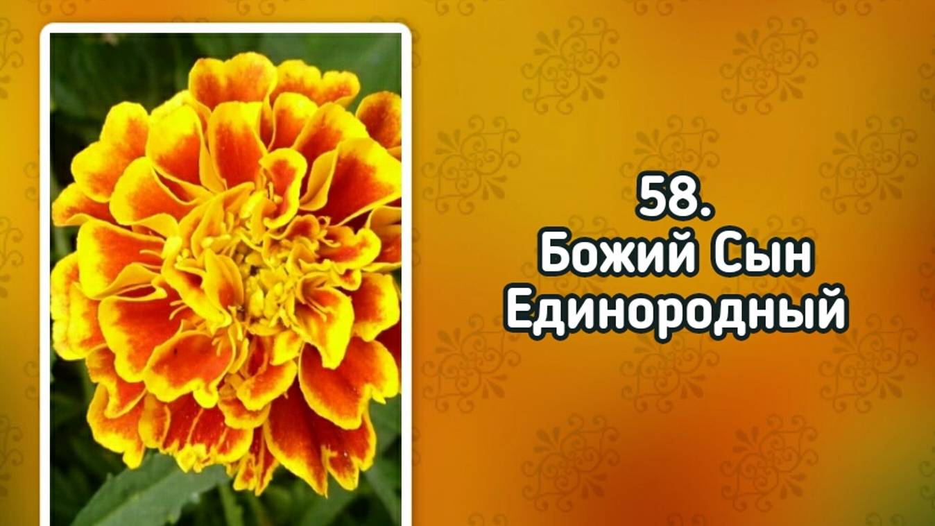 Гимны надежды 58 Божий Сын Единородный (-) смотреть онлайн
