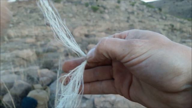 TRY TO BREAK THIS!!! AGAVE CORDAGE AND AGAVE FIRE LIGHTING TINDER смотреть онлайн