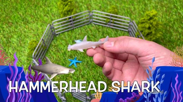 Учим Животных на английском Пингвин Краб Акула Скат Мультики для Детей Английский для Детей смотреть онлайн