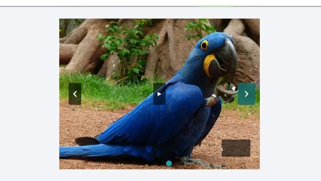 Slider w/o JS - pure css slider! смотреть онлайн