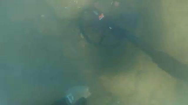 Бухта Муравьиная. Трепанг и Рыжики =)