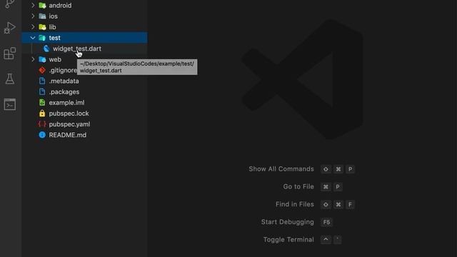 Google's Flutter Tutorials | 1- Flutter Project Structure | Android, iOS, Web & Desktop | Dart смотреть онлайн