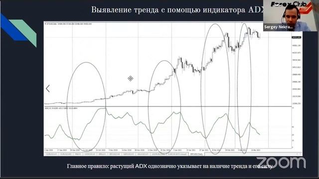 Основы трендового анализа смотреть онлайн