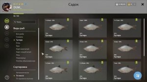 ГУСТЕРА р. ВЬЮНОК / ГДЕ ЛОВИТЬ ГУСТЕРА / КЛЁВЫЕ МЕСТА ✅ РУССКАЯ РЫБАЛКА 4 ? Russian Fishing 4 ? РР4