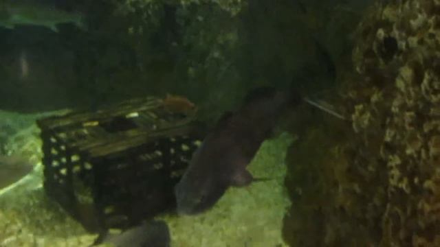 Bass Pro Shops Dolphin Mall Miami FL.
