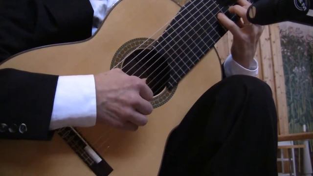Sonata for 10-stringed guitar part 1 (3) смотреть онлайн