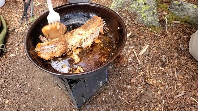 Solo Backpacking And Trout Fishing With Dogs And Pack Goats Part-03 of 04 Wilderness ASMR смотреть онлайн