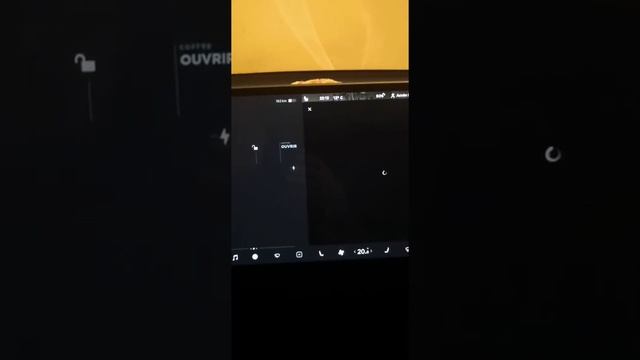 Tesla model 3 mode sentinel bug. смотреть онлайн