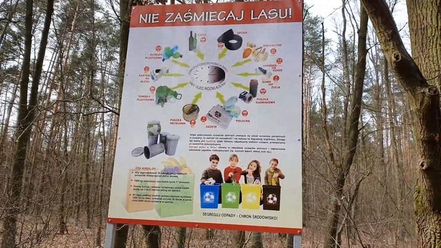 Как ухаживают за лесом в Польше смотреть онлайн