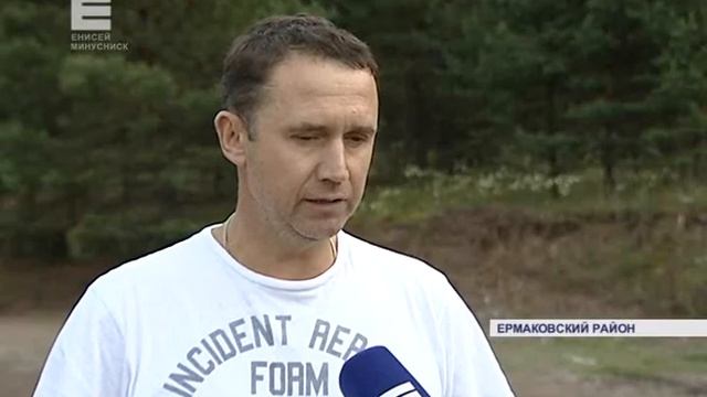 Тонны лисичек в Европу (Енисей Минусинск) смотреть онлайн