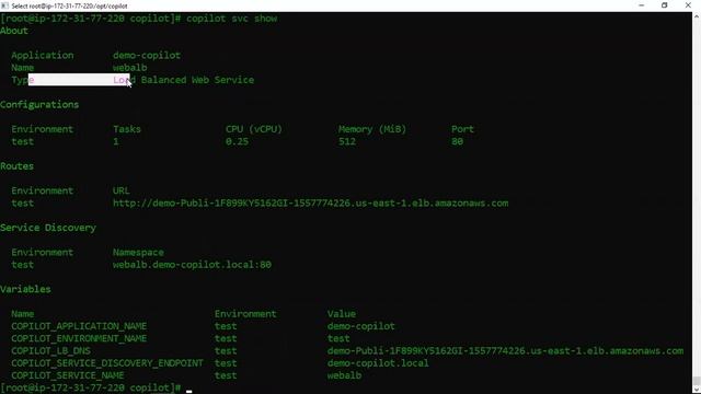 Part3: AWS Copilot installation & Application Deployment | ECS | Docker | Container | Fargate DevOp смотреть онлайн