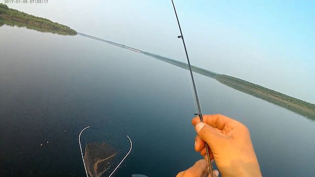 Река Лена, попали на раздачу окуня! смотреть онлайн