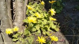 8 марта приметы дня