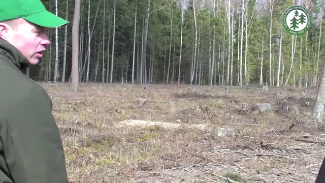 Eglynu sodinimas смотреть онлайн
