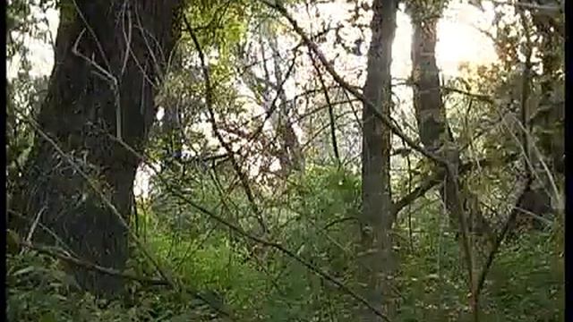 Дунайский Биосферный Заповедник смотреть онлайн