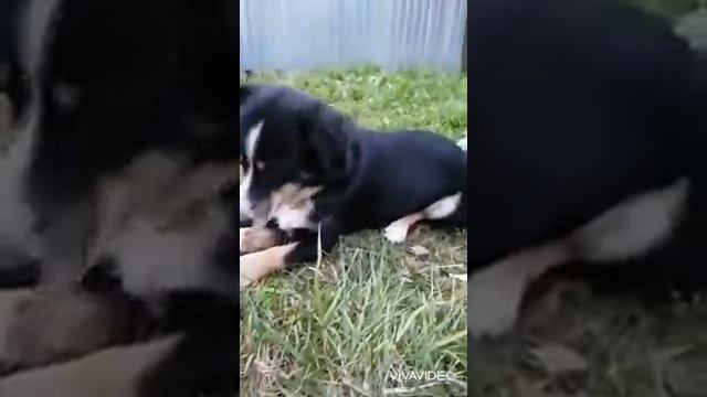 витамины!!!!🥰 смотреть онлайн
