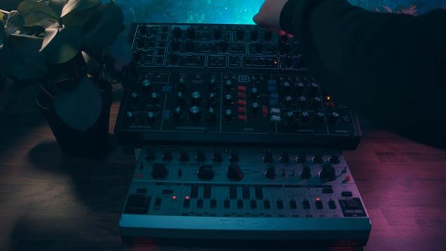 Behringer TD-3 MO, Model D & Pro 1 - Melodic Deep House Performane смотреть онлайн