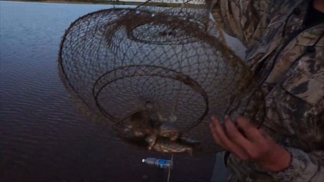 Аквариум с рыбками своими руками смотреть онлайн