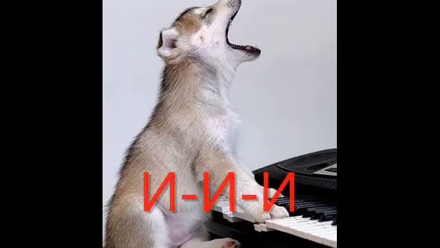 1 Музыкальная голосилка смотреть онлайн