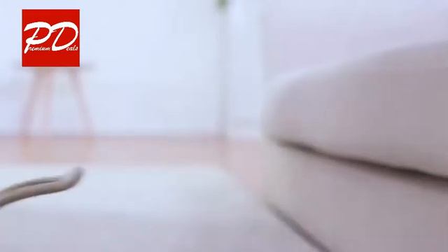 Dexterity The Intelligent Dog смотреть онлайн
