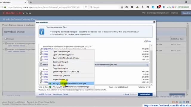 Download And Install Primavera P6 Professional R16 1 смотреть онлайн