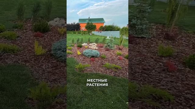 Всего 4 правила ландшафтного дизайна! #ландшафт #газон #дизайн #правило смотреть онлайн