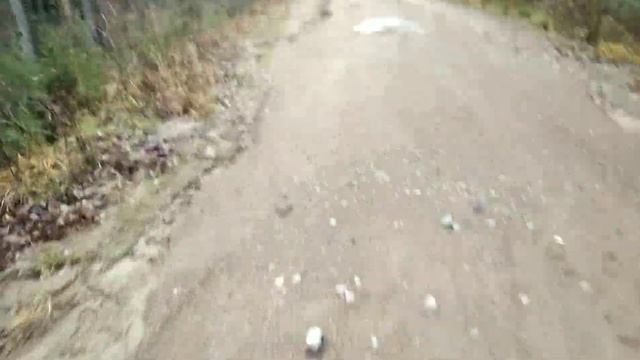 Сбор ягод в Карелии. День 89. Брусника, клюква и рябина. смотреть онлайн