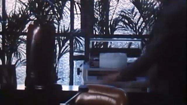 Publicidad Argentina: Ford Sierra Ghia - Susana Romero - Avisos Comerciales Argentinos de los 80 смотреть онлайн