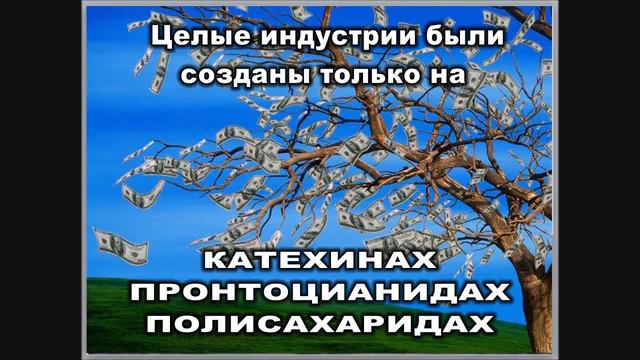Мангостин Mangosteen 'Королева Фруктов' или 'Фрукт Богов' смотреть онлайн