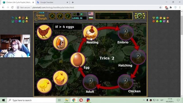 Chicken Life Cycle - Fun Biology Educational Game смотреть онлайн