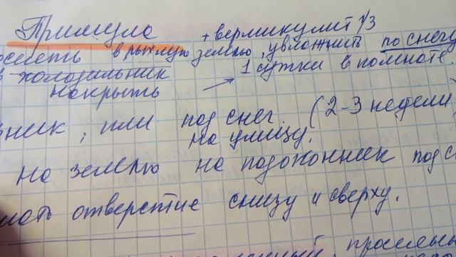 СТРАТИФИКАЦИЯ ПРИМУЛЫ. смотреть онлайн