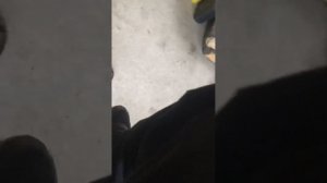 Как завести питбайк зимой