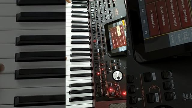 Korg PA 1000 at RDX Music 🎶 Store смотреть онлайн