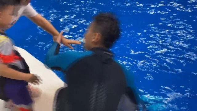 暴风雨过后，沙滩遍地都是海货，蛤蜊，恐龙蛋捡不停，一会就爆桶了【赶海小章】