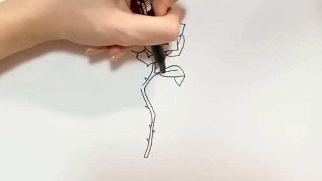 Как нарисовать аленький цветочек? смотреть онлайн