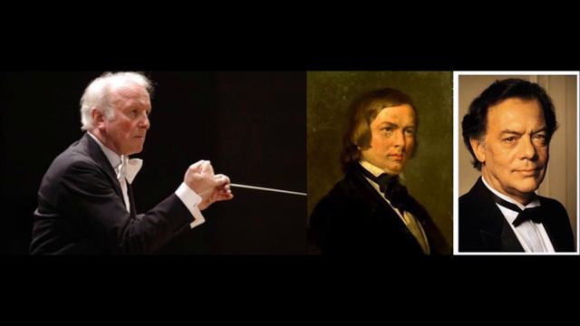 Schumann "Manfred" Klausjürgen Wussow/Gerd Albrecht (komplett) смотреть онлайн