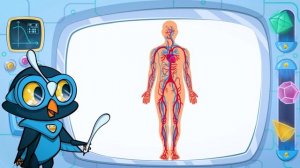 Урок Биологии 4 класс. тема организм человека развивающий мультик для детей