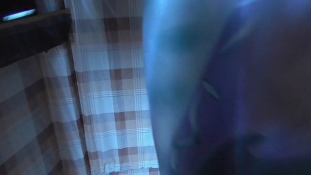 СОЛНЕЧНАЯ ЭНЕРГИЯ НА ПАСЕКЕ / ОБЗОР ЭЛЕКТРИФИКАЦИИ. смотреть онлайн