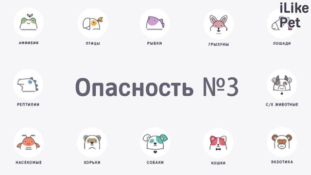 Какие опасности могут быть в доме для кошки? смотреть онлайн