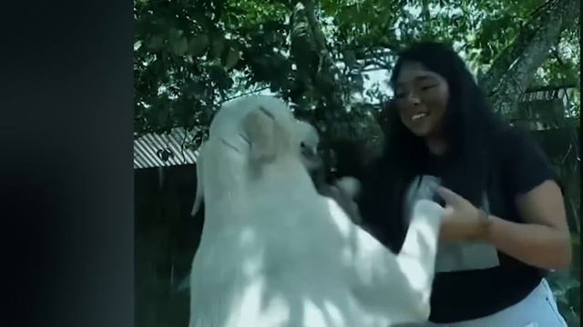 10 Жутких Видео, Которые Напугают 99% Людей смотреть онлайн