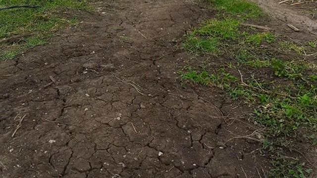 DRONE SG700D MURAH VIRAL - Flight Testing смотреть онлайн