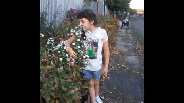 С Днем Рождения София. смотреть онлайн