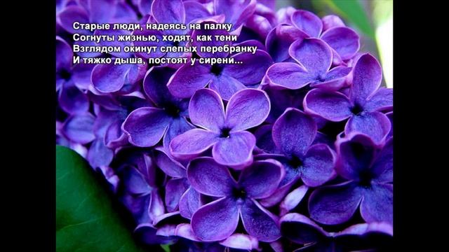 Стихи Черкашин Дмитрий - Старые люди смотреть онлайн