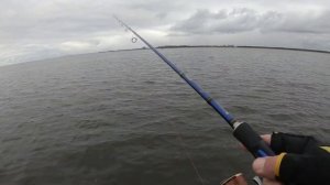 Рыбалка в Калининграде. Морской судак на джиг.