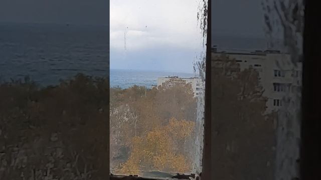 Севастополь.20ноября2023 г.