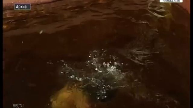 Специалисты МЧС советуют новичкам, как уберечься от нежелательных последствий экстремального купани смотреть онлайн