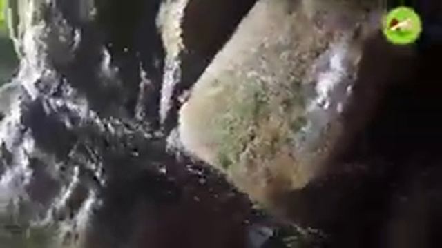 Bicycle ride to hidden waterfall in Titabor | Assamese Vlog | Part 2 смотреть онлайн