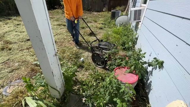 LAZY Grandson REFUSED To Mow His GRANDMAS NIGHTMARE Of Yard So I Did It For FREE!!